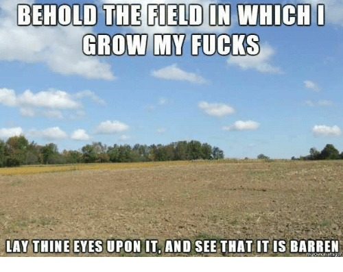 behold-the-field-in-which-i-grow-my-fucks-lay-22772104
